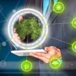 Transizione energetica | Ludovico De Tomi